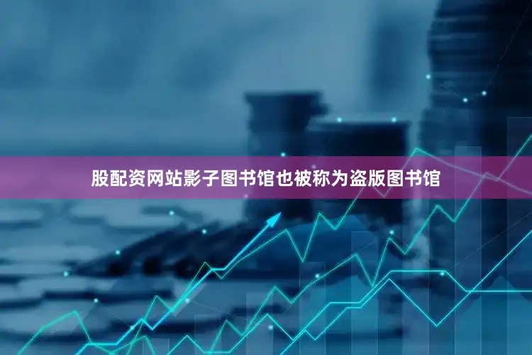 股配资网站影子图书馆也被称为盗版图书馆